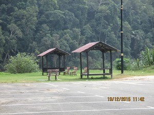 IMG 0099
