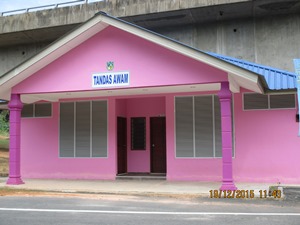 IMG 0100
