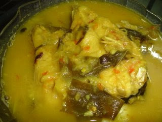 ikan patin3